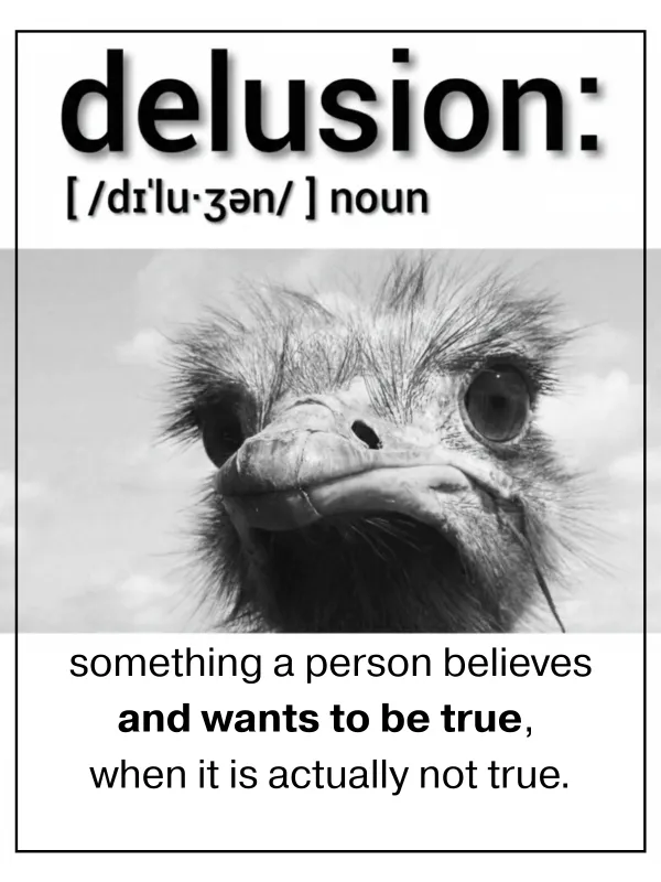 Delusion poster — definition style with ostrich